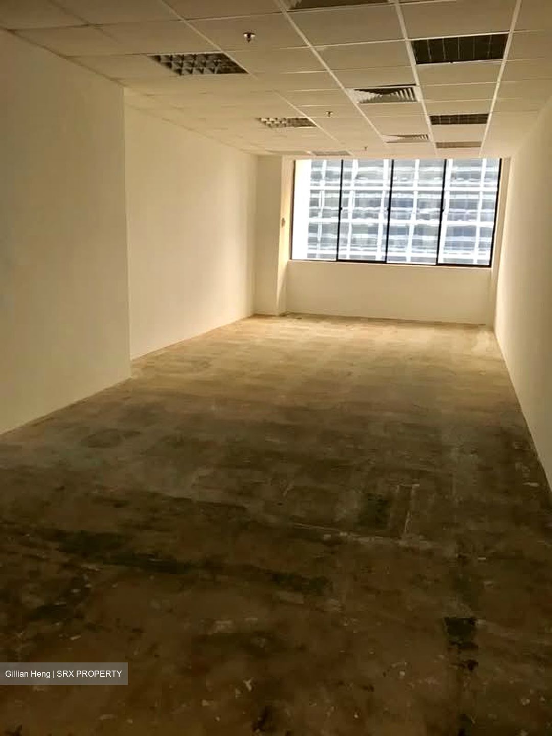 International Plaza (D2), Office #588092791